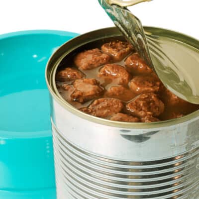 ¿qué Hace Que La Comida Enlatada Para Gatos Sea La
