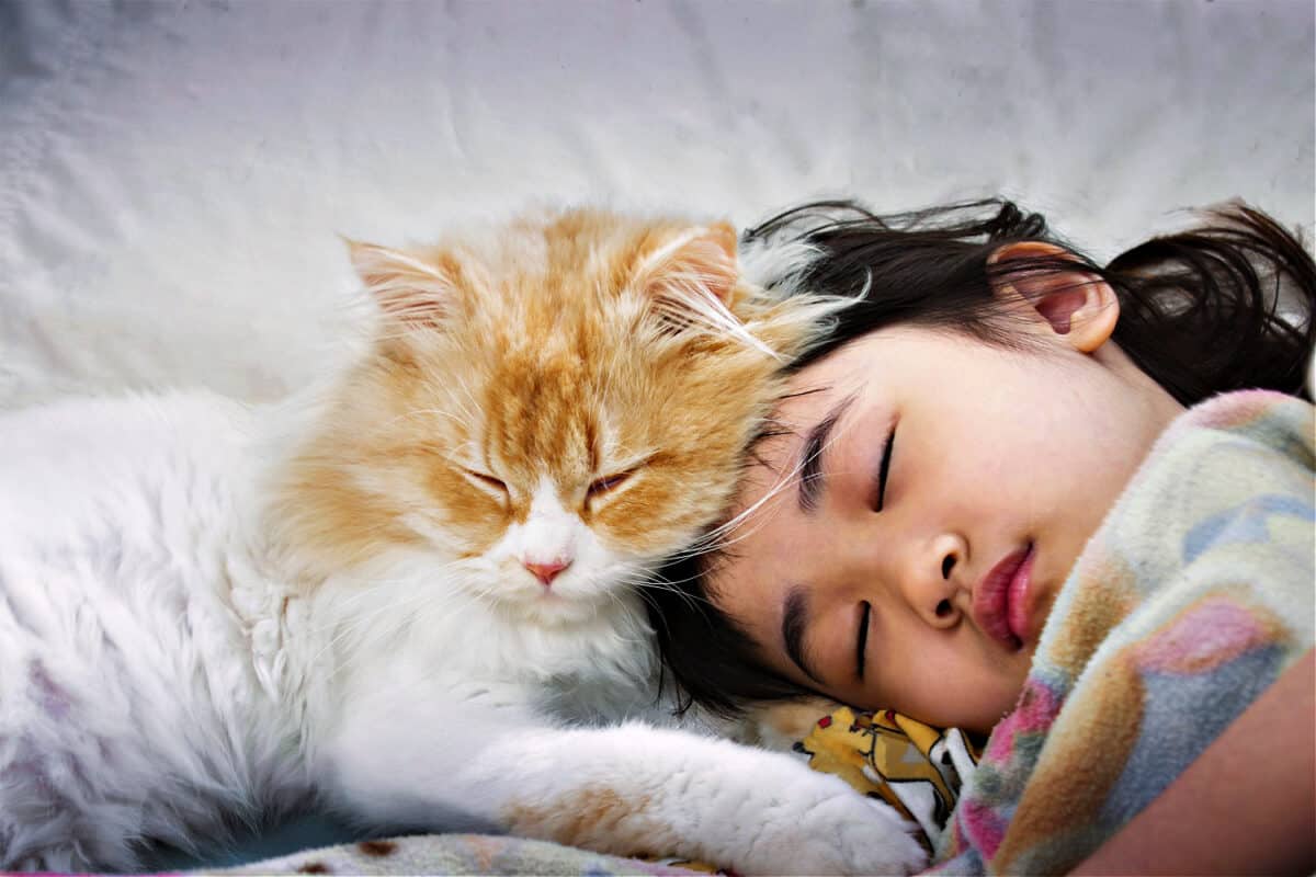 Cómo Mezclar Gatos Y Niños De La Manera Correcta