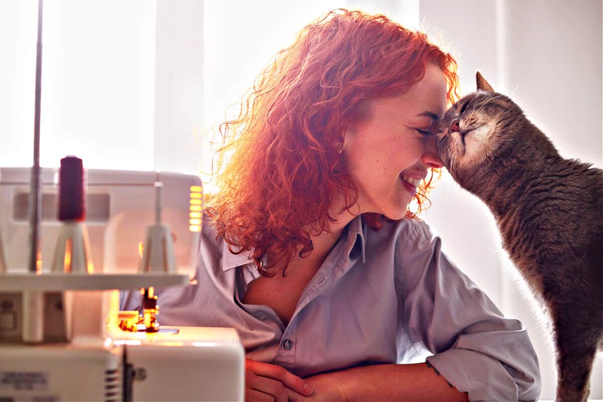 Gatos Y Peligros Ocultos en El Hogar: Cómo Garantizar La