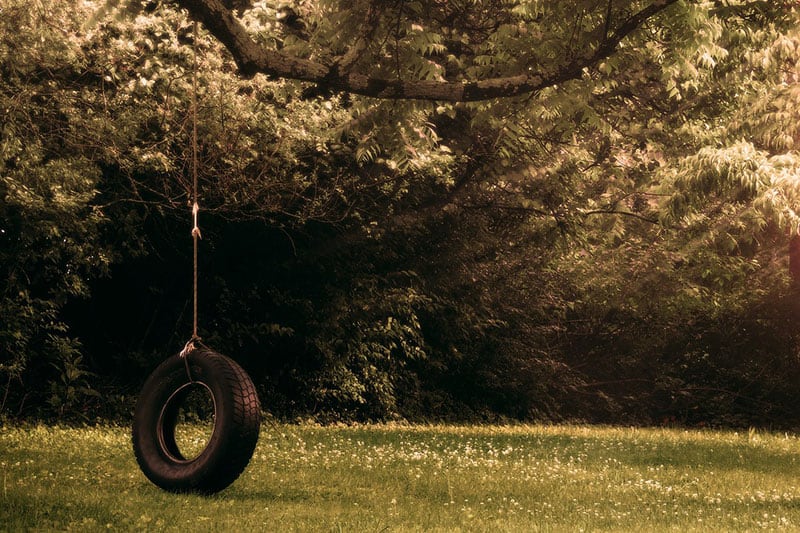 Cómo Deshacerse De Las Pulgas en Su Jardín (6 Consejos
