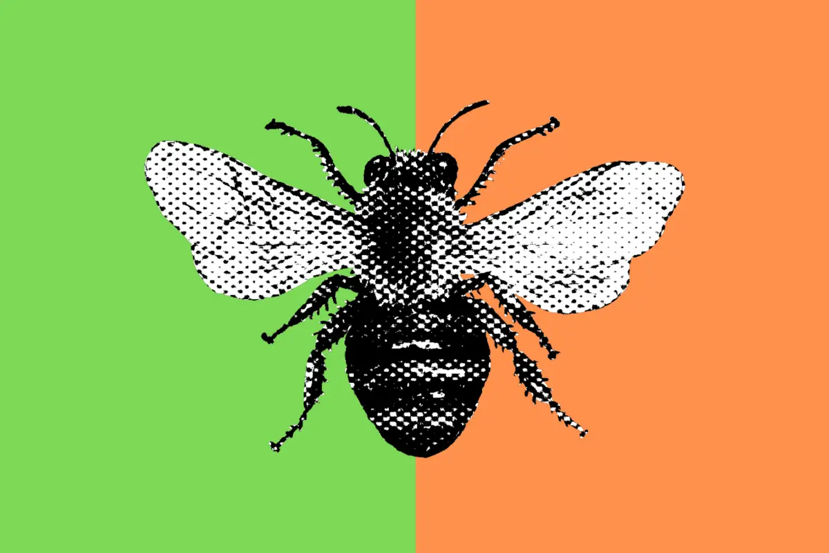 El Simbolismo De Las Abejas en La Cultura Y La