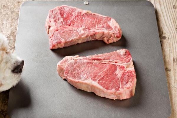 ¿qué Alimentos Humanos Pueden Comer Los Perros?