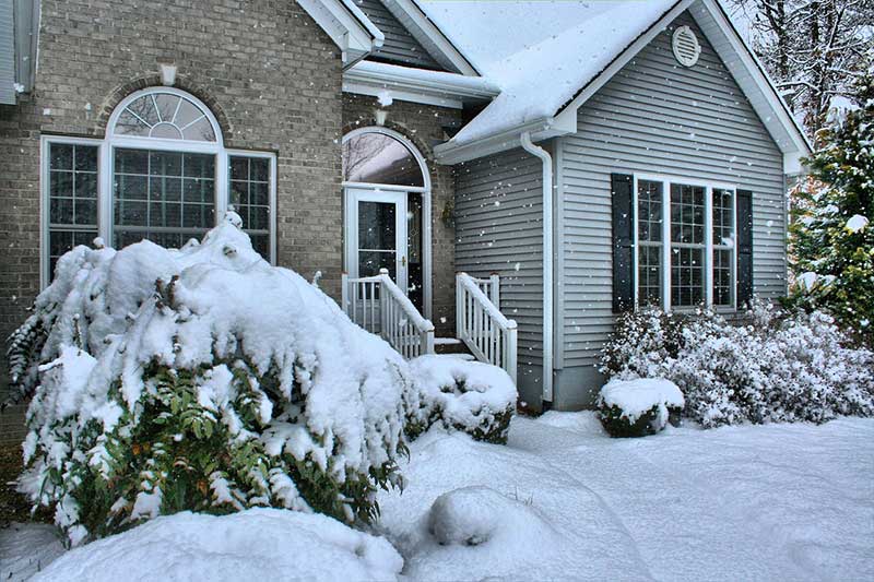 20 Plagas Invernales Comunes Que Invaden Hogares Y Jardines